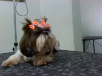 /album/galeria-de-fotos/pqaaakgrgckzgqwnz-usxmnzey0758k5mq-oplwppnyeep0btwzyfkfmq3w75tdxdieuwqvfwemqvofnvfou8wbo8r4am1t1ubad2cilf0ag0ghsa3tf77fisfr4-jpg/