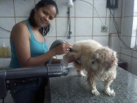 /album/galeria-de-fotos/pqaaalq-yrx2qnflqqqtkdkfoq81bncbov668uqejkkjszhwvcc02dcdjmdc4shpb3abx6lldb0pavibgg7aonorj7kam1t1uezpfbox8ien1vudqfwfhkhr-x3y-jpg/